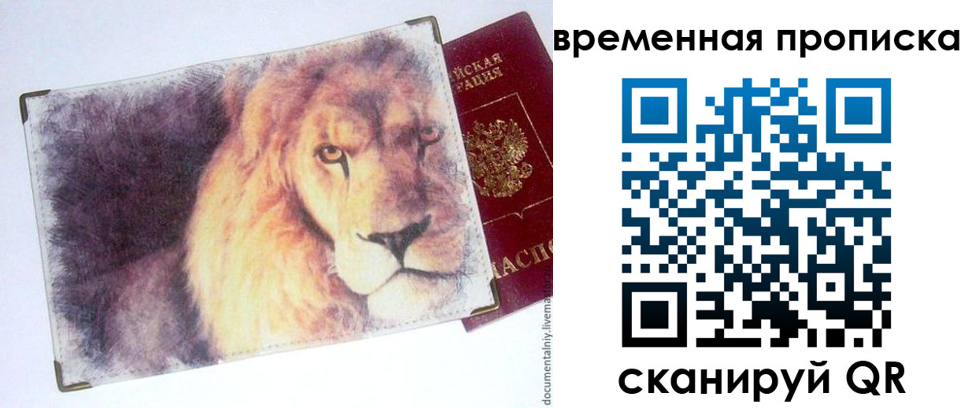 временная регистрация для школы в Новосибирской области